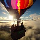 1276930 730144143668016 1483596148 o