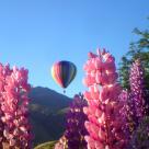 192578 566044730077959 519725403 o