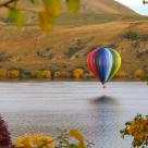 412454 448330985182668 816527003 o